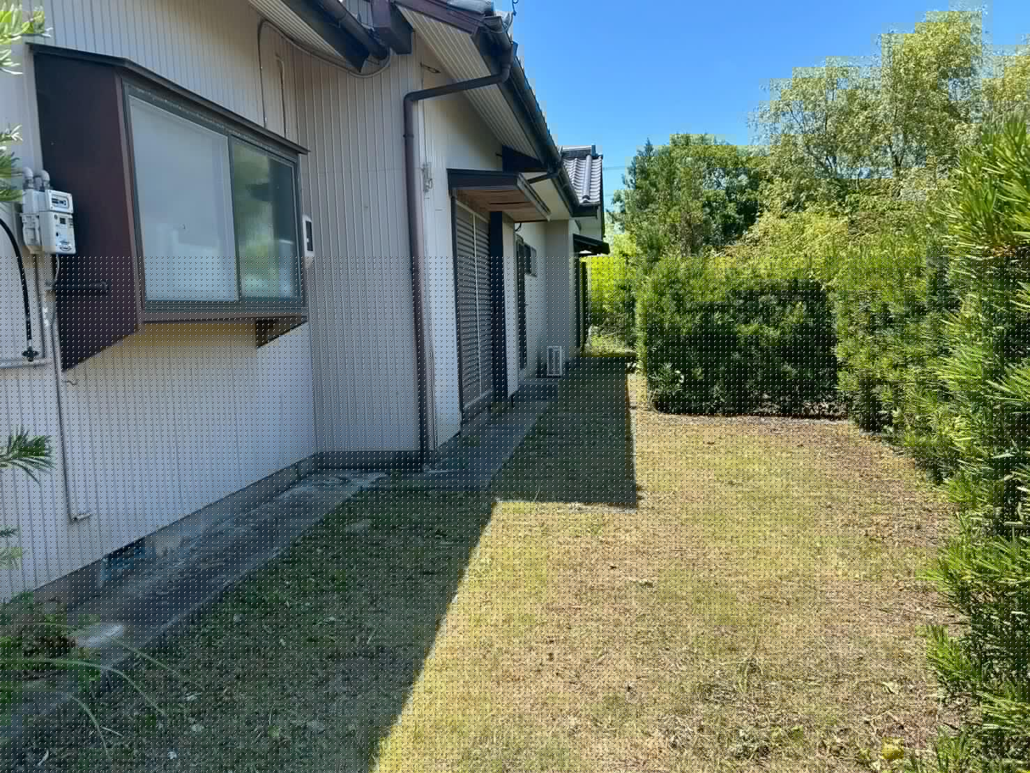 磐田市での庭木伐採・剪定作業後