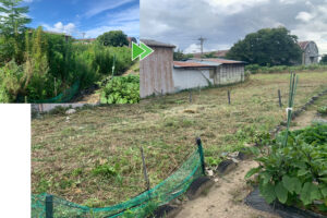 磐田市の広い敷地の草刈り作業
