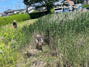 磐田市の調整池の草刈り作業中
