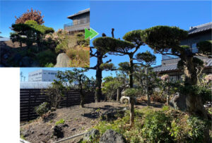 島田市の庭木の剪定作業