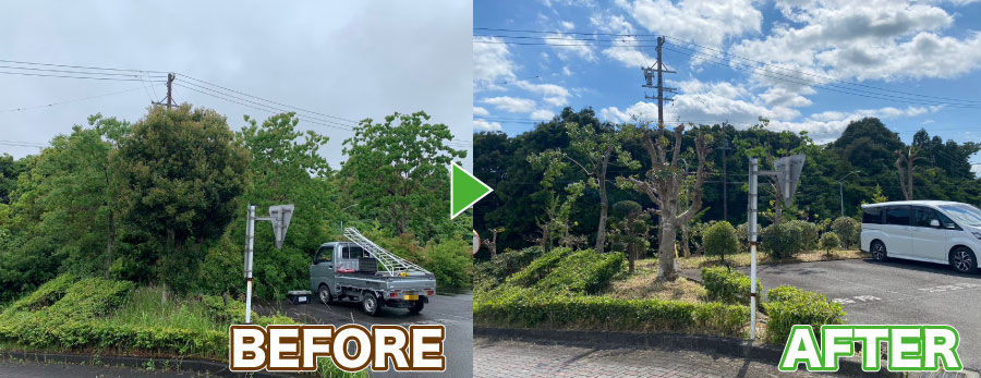 駐車場まわりの草刈りと剪定作業