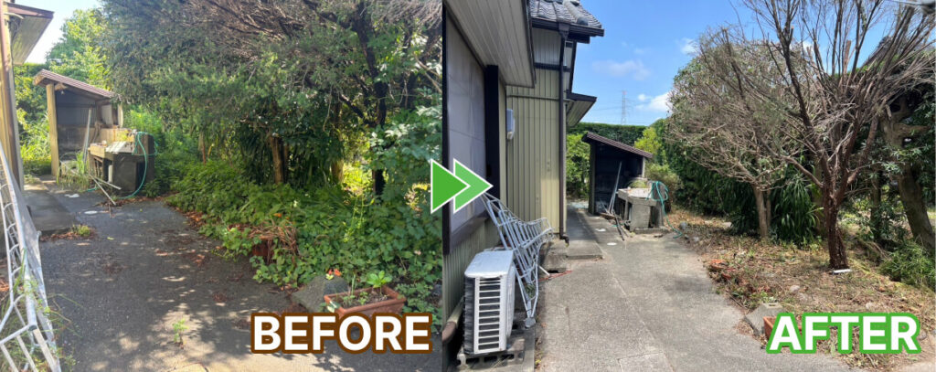 建物横の草刈りと庭木の剪定