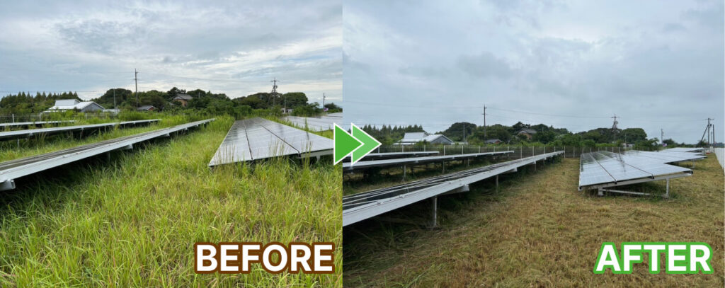 太陽光パネル横からの作業前後