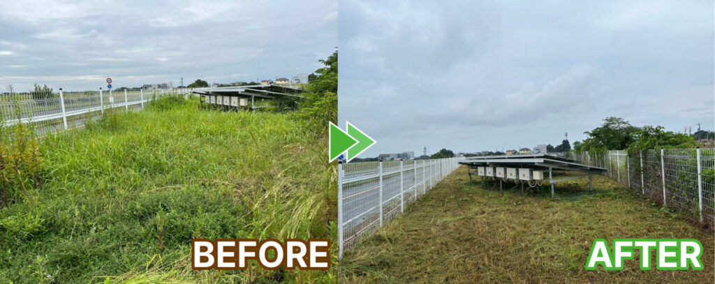 太陽光パネル後ろからの作業前後