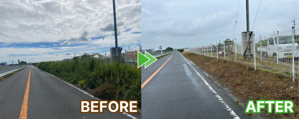 フェンス沿いの道路の草刈り