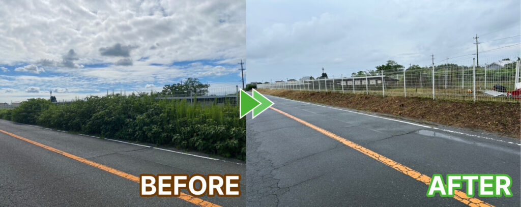 フェンス沿いの道路の草刈り作業前後