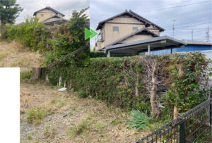 磐田市の生垣の刈り込み