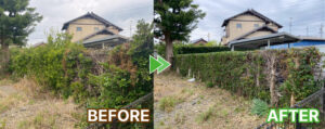 生垣の刈り込みと草刈り