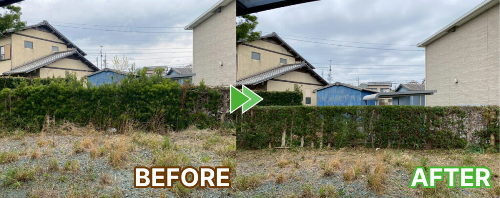 生垣の刈り込みと草刈りの全体