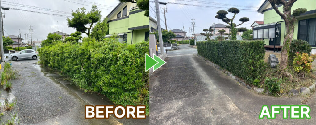 生垣の剪定