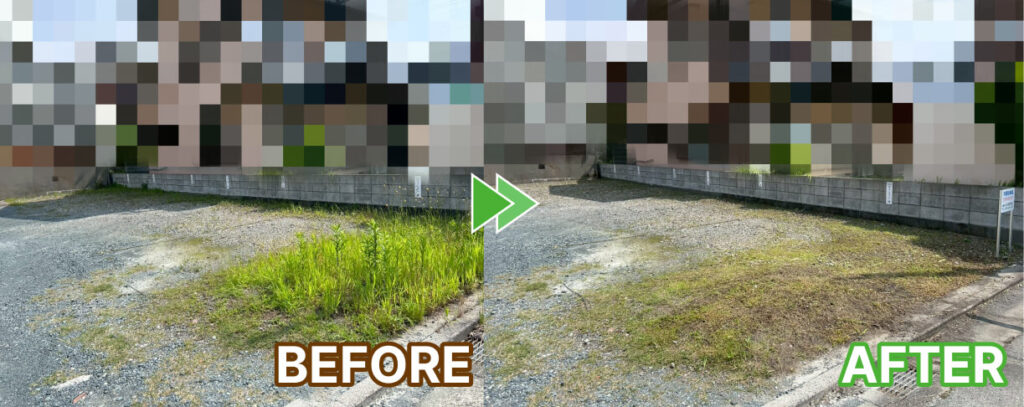 駐車場の草刈りと除草剤散布右側