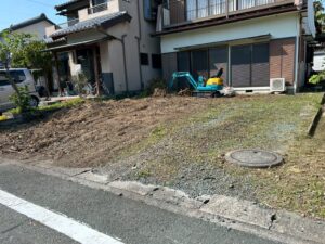 抜根後の様子