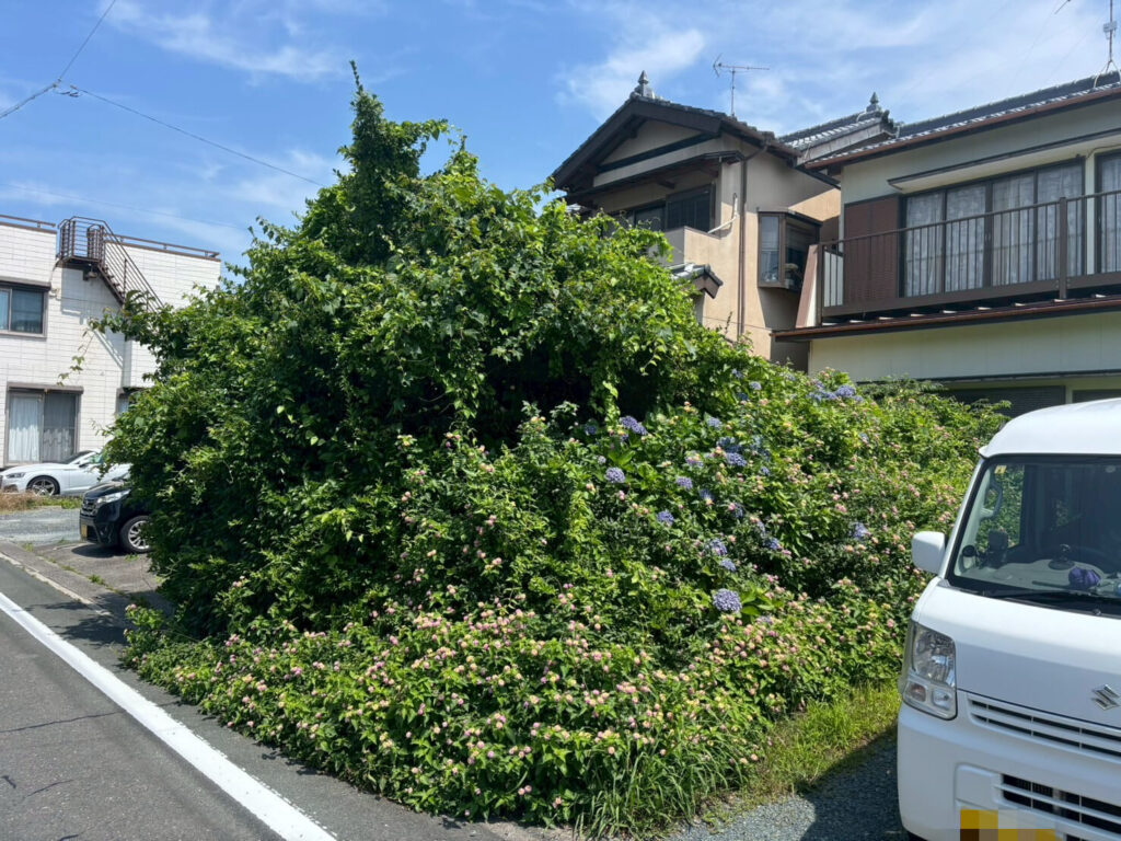 伐採した木
