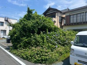 伐採した木