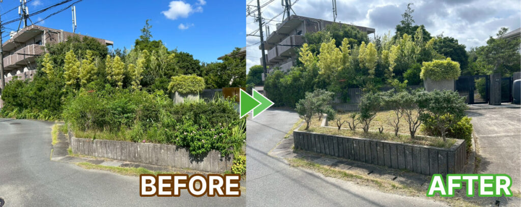 家の前の草刈り作業前後