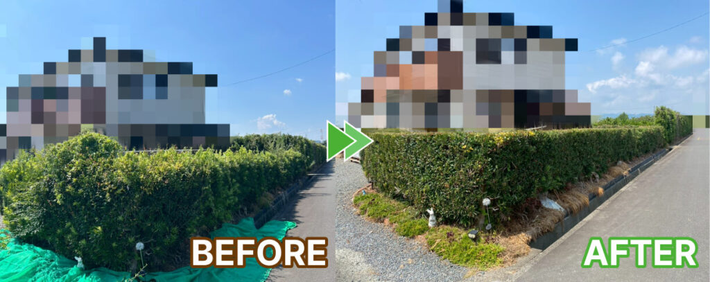 家のまわりの垣根の剪定