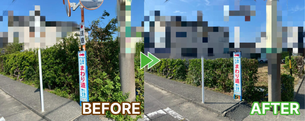 御前崎市の生垣の強剪定