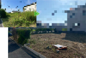御前崎市の空き地の草刈りと強剪定