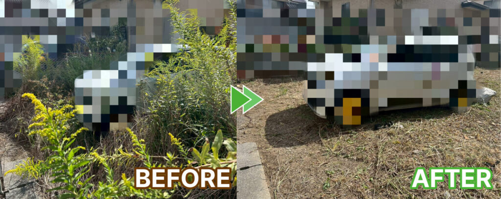 藤枝市の草刈りと除草剤散布