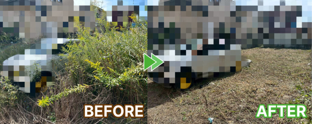 敷地すべての草刈り