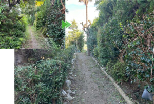 浜松市浜名区の草刈りと剪定