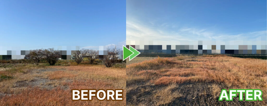 空き地の伐採と抜根作業