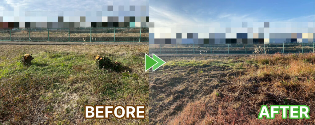 空き地の伐採後から抜根後
