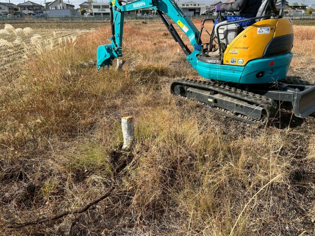 抜根作業中の様子