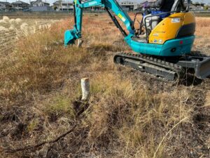 抜根作業中の様子