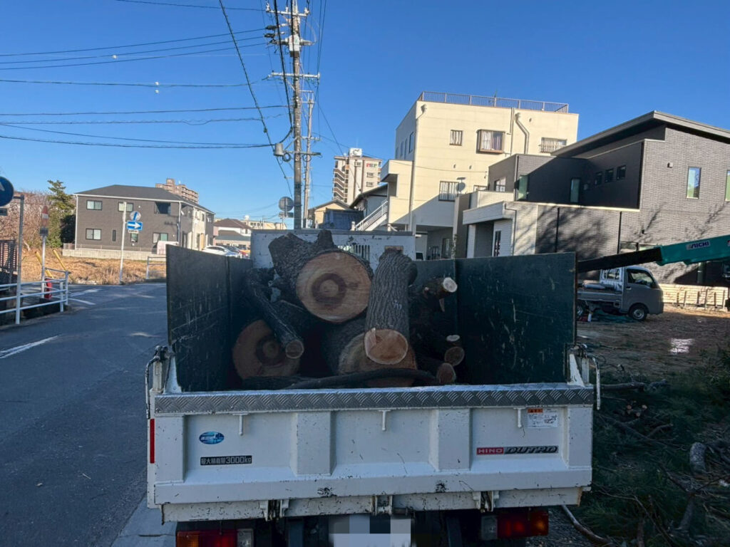 伐採した支障木