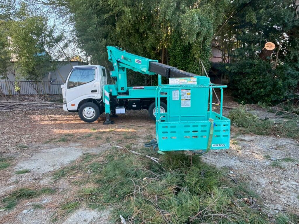 高所作業車を使っての伐採作業
