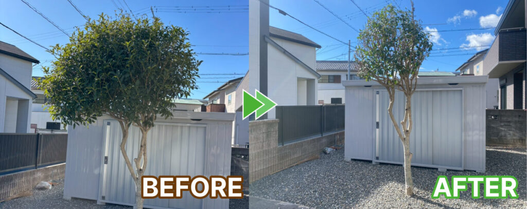 浜松市中央区庭木の剪定