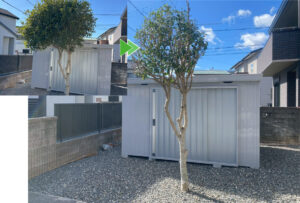 浜松市中央の一軒家の庭木の剪定