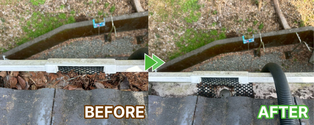 雨樋の掃除1
