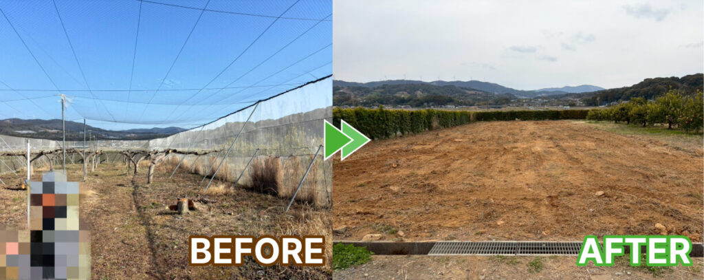 ネットの撤去と木の伐採、抜根作業前後