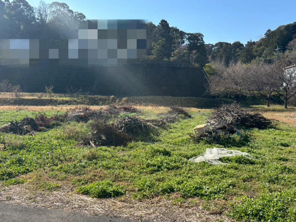 ネット撤去後の畑の様子