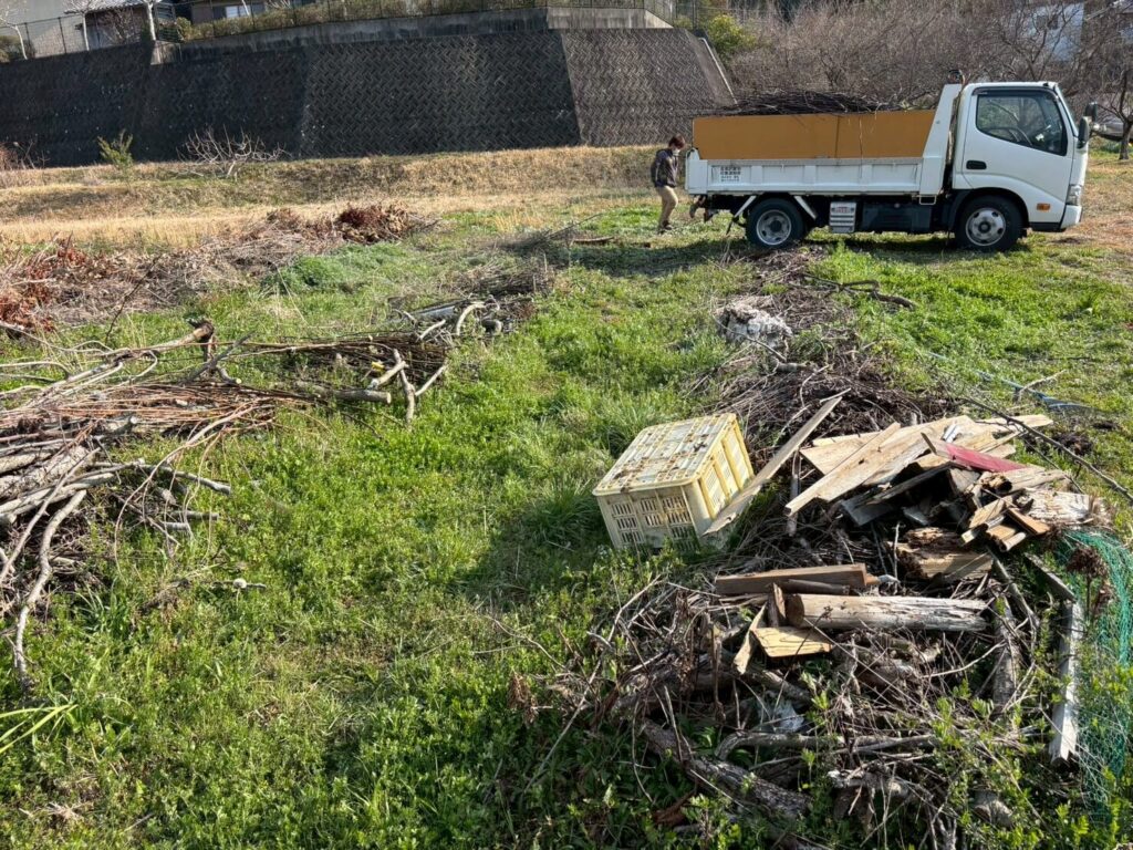 撤去前の枝やコンテナ