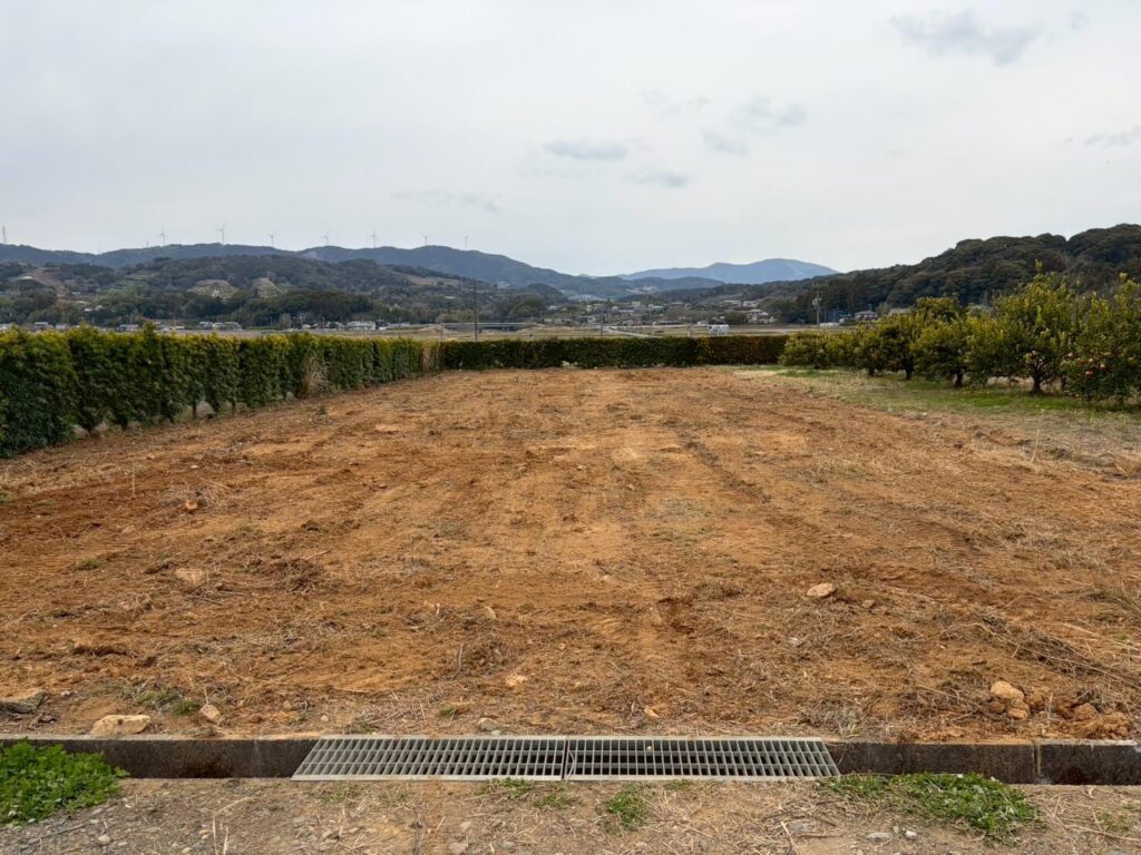 ネット撤去、伐採、抜根後