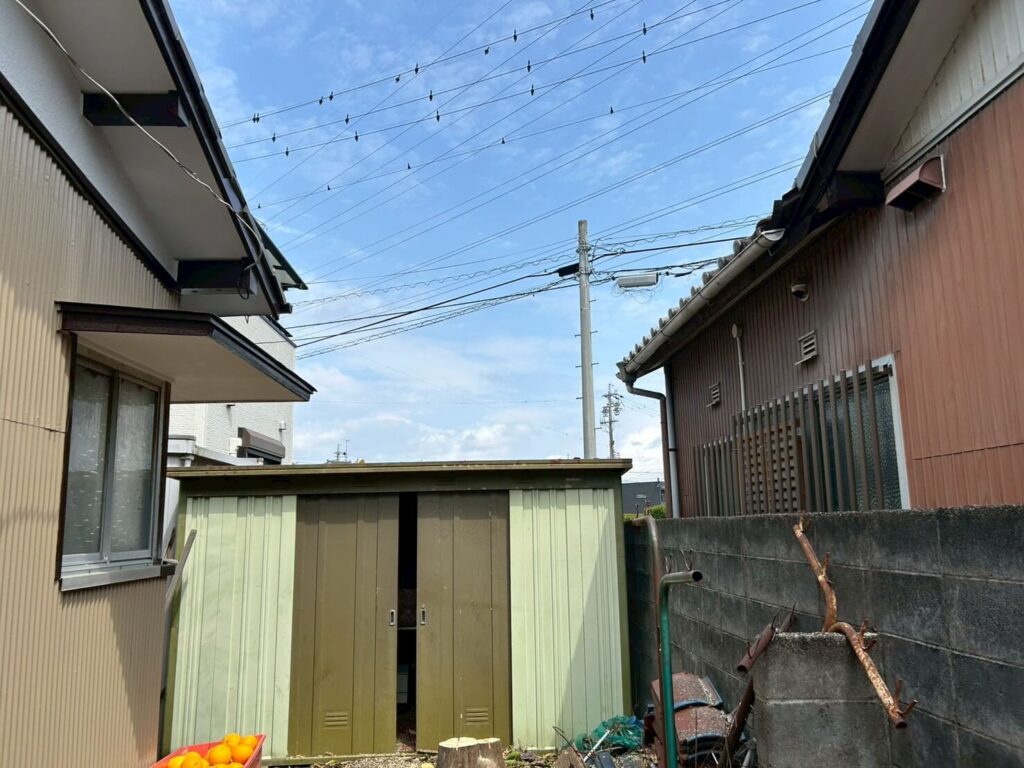 夏みかんの木の伐採後