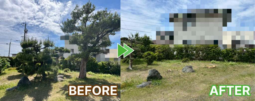 庭木の伐採と抜根作業前後