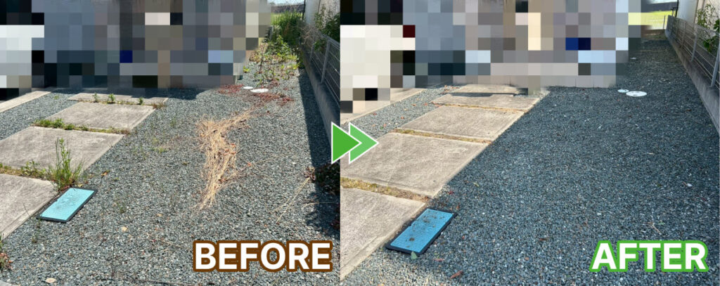 玄関前の草取り