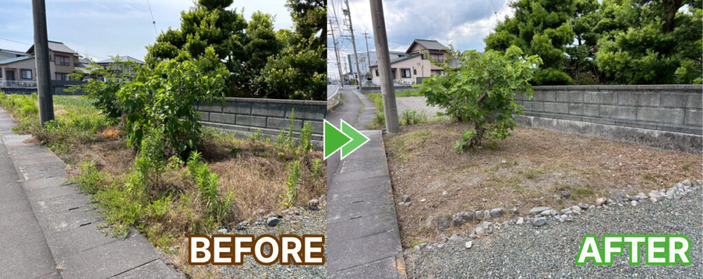 道路側の植木まわりの草刈り