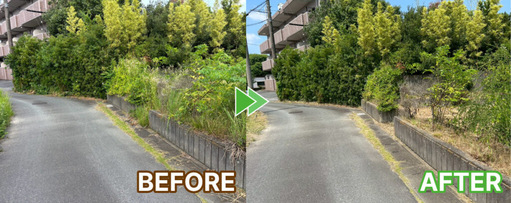 道路側の草刈り