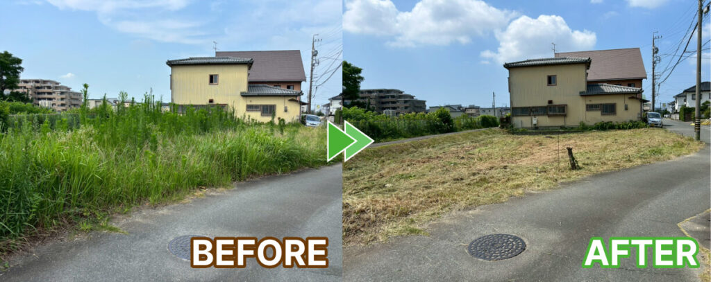 空き地の草刈り