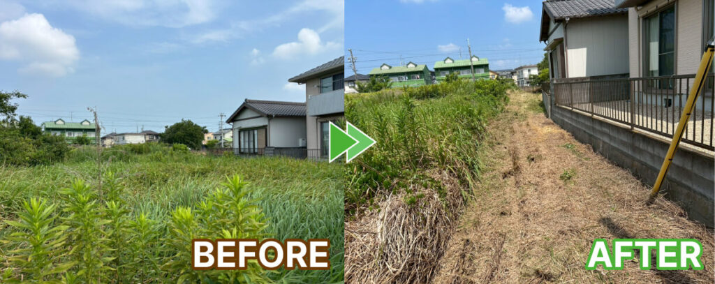 建物横の草刈り