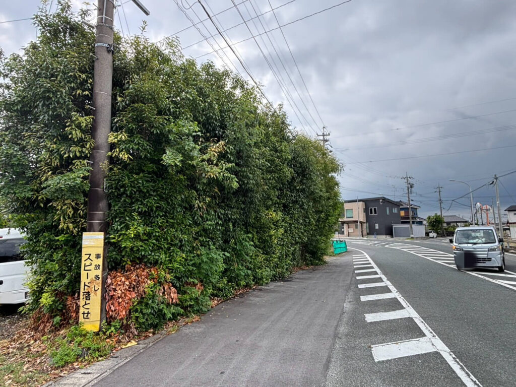 強剪定作業前横から