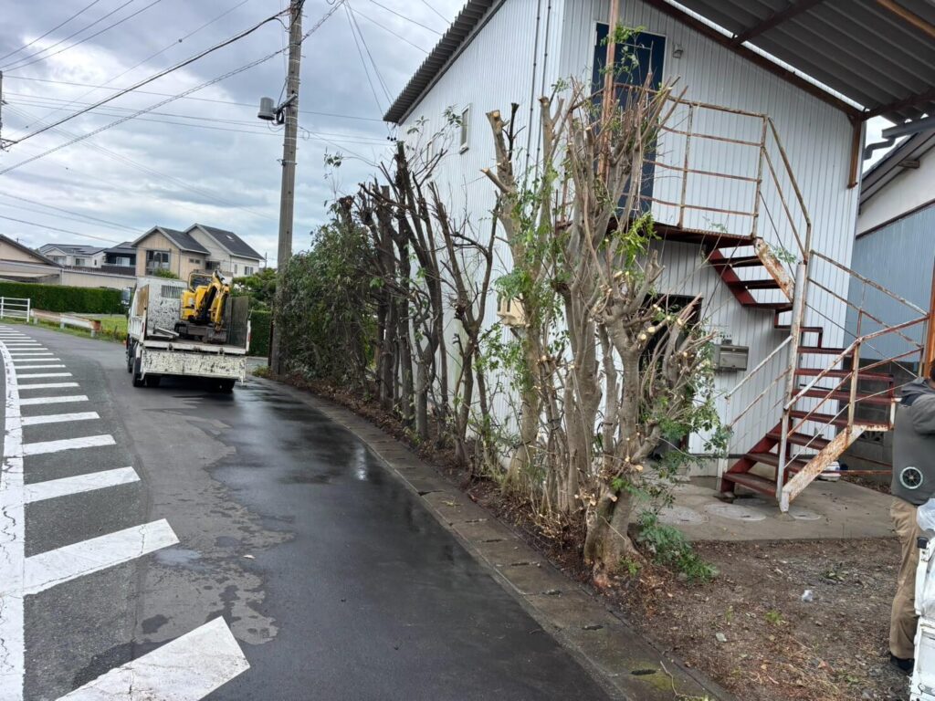 強剪定、側溝の掃除後