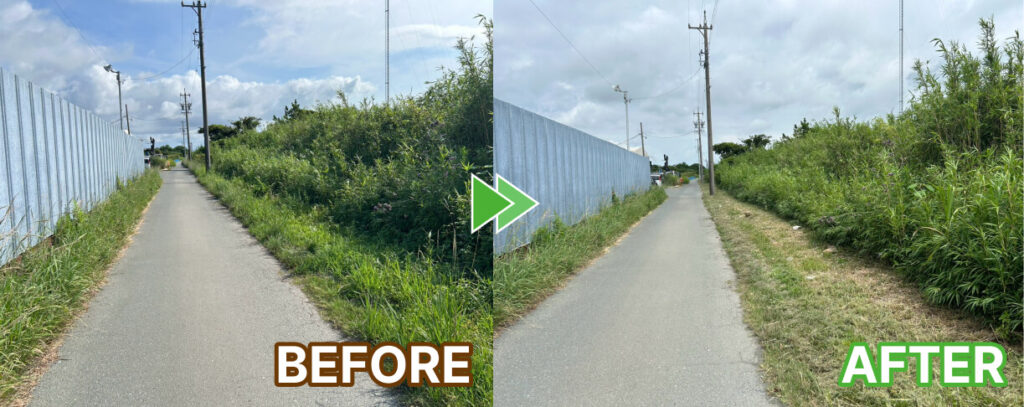道路脇も2m幅で草刈り
