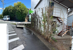浜松市の強剪定と側溝の掃除